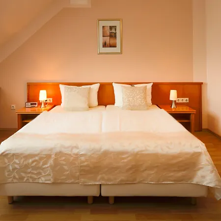 Отель Carlton Mayfair 3*